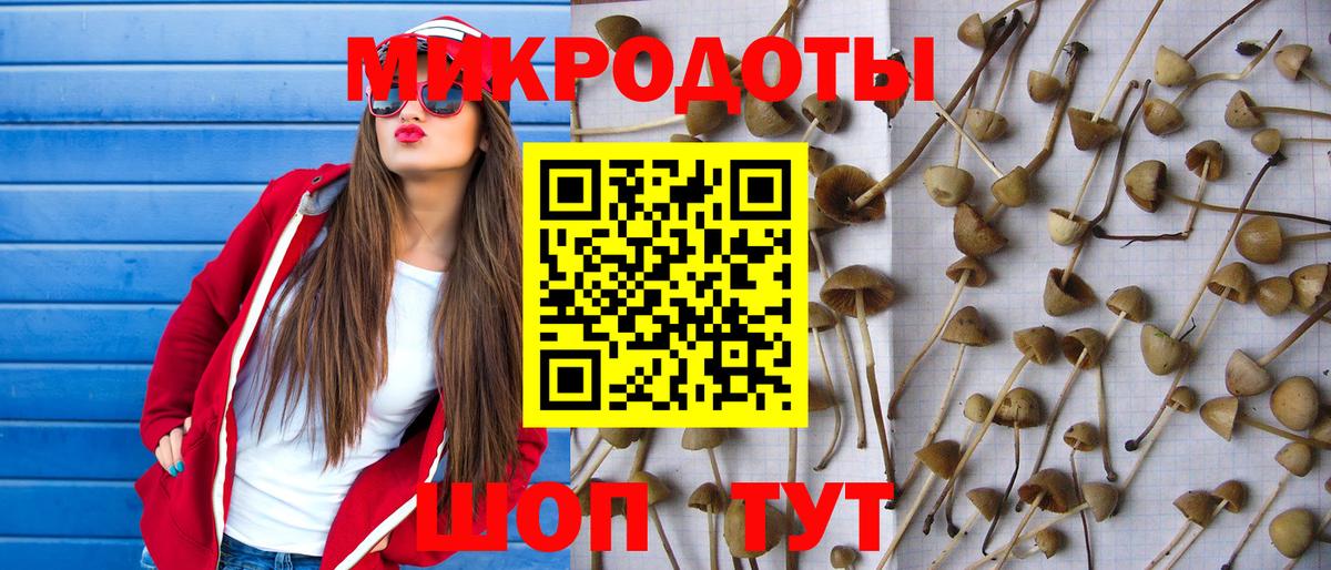 Галлюциногенные грибы мицелий Ессентуки