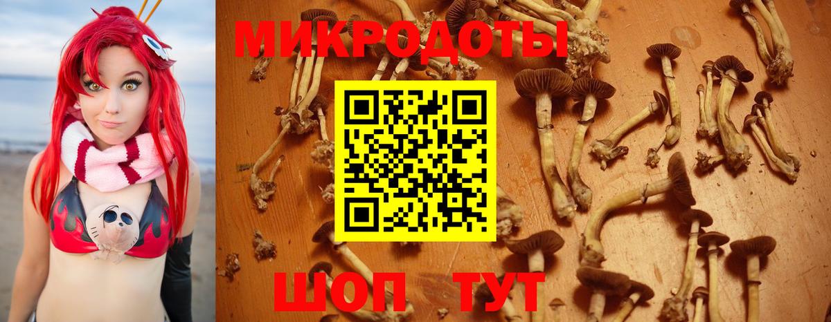 Ессентуки  Псилоцибиновые грибы Magic Shrooms  купить закладку  Вход с VPN 